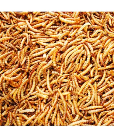 UK GROW 10L Premium Dried Mealworms - Value Pack (10L) - Buy Online on GoSupps.com