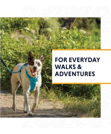 Shop Luffwear Lightweight Dog Harness for Miniature Breeds - Size Adjustable XXXS in Blue Atoll | Hi & Light Harness - Buy Online on GoSupps.com