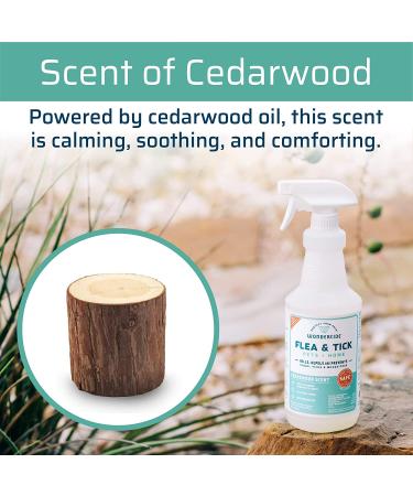 Natural Flea and Tick Spray for Dogs, Cats & Home - Wondercide Cedarwood & Lemongrass - Pet Safe - 4 oz 2-Pack - Buy Online on GoSupps.com