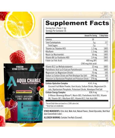 Grab The Gold Aqua Charge Electrolytes Drink Mix | Naturally Flavored Sugar-Free Hydration Drinks with B Vitamins | Vegan Gluten-Free Non-GMO | Raspberry Lemonade - 16 Packs - Buy Online on GoSupps.com