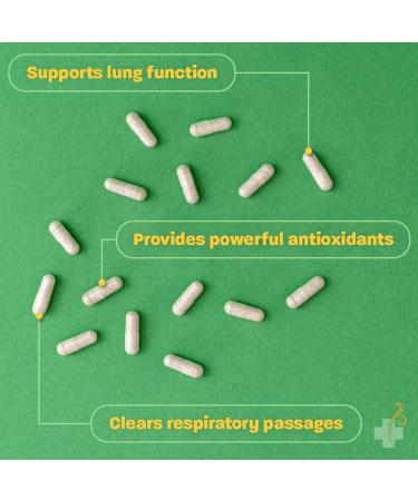 Redd Remedies Adult Sinus Support 72 Capsules and Lung Care 80 Capsules - Buy Online on GoSupps.com