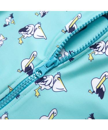 Bonverano Baby Boys Swimsuit - Pelican, 3-6 Months | UPF 50+ Sun Protection - Buy Online on GoSupps.com