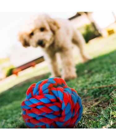 ZENO Dog Toys - Pack of 10 | Rope Chew Toys for Dogs | Strong Rope Ball & Tug for Teething & Training | Puppy Teething Toys | 100% Natural Cotton | Great for Small Medium & Large Puppies & Adults - Buy Online on GoSupps.com