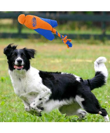 Nerf Dog Trackshot Arrowhead Launcher with Interactive Design Great for Fetch Launches up to 75 ft Single Unit Blue/Orange - Buy Online on GoSupps.com