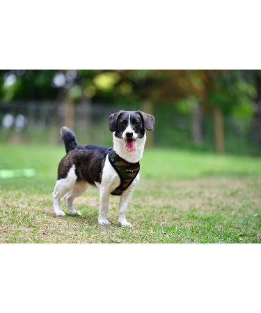 Puppia Dog Harness for Small & Medium Dogs - Soft Colorful Multi-Use: Puppy Dish & Anti-Tanning Tableware Camouflage Options Available - Buy Online on GoSupps.com