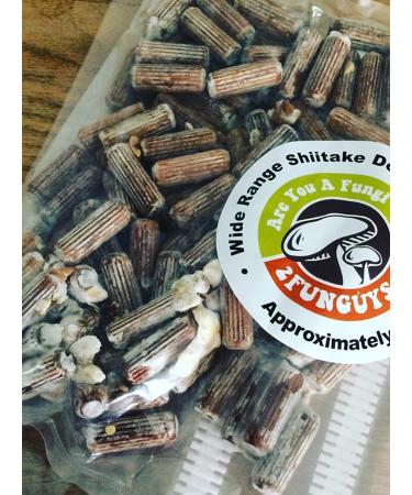 100 Shiitake Mushroom Plug Spawn | High-Yield Edible Mycelium Plugs - Buy Online on GoSupps.com