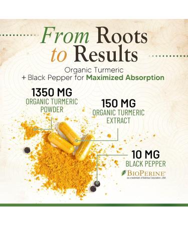 Turmeric Curcumin Supplement 1500mg - Organic Tumeric & BioPerine Black Pepper for Best Absorption with 95% Curcuminoids Nature's Joint & Immune Support Non-GMO Bottled in USA - 120 Capsules 120 Count (Pack of 1) - Buy Online on GoSupps.com