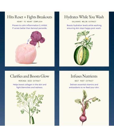 L'AMARUE Essential Cleanser 8 fl oz: Gentle Daily Skincare Face Wash Anti-Acne Hydrating and Moisturizing and Anti-Aging with Ceramides and Antioxidants | Vegan & Cruelty-Free for All Skin Types - Buy Online on GoSupps.com