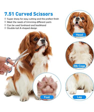 Premium Curved Dog Scissors - Stainless Steel Grooming Scissors for Dogs & Cats | Safety Round Pointed Design - Buy Online on GoSupps.com
