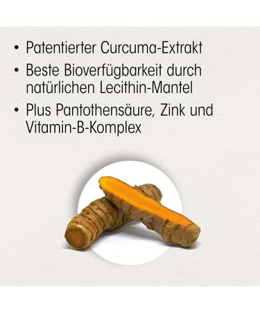 Dr.B hm Memory Active - 60 Capsules for Good Memory & Healthy Brain Age with Curcuma Extract | Dietary Supplements - Buy Online on GoSupps.com