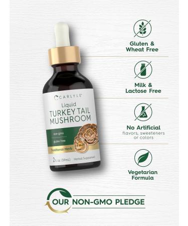 Carlyle Turkey Tail Mushroom Extract Liquid | 2 FL Oz | Herbal Tincture Drops | Vegetarian Formula | Non-GMO Gluten Free Supplement - Buy Online on GoSupps.com