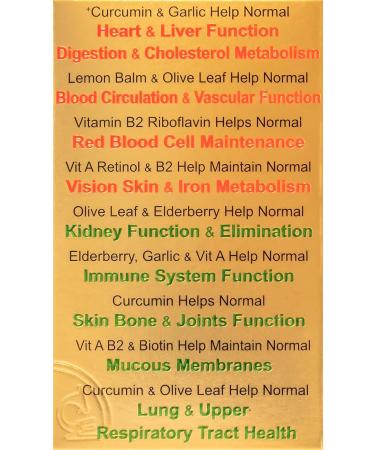 Cardio Immune 6 Lung Heart Cholesterol Metabolism 90 caps (IP6-90) IP6 Lung Heart Cholesterol - Buy Online on GoSupps.com