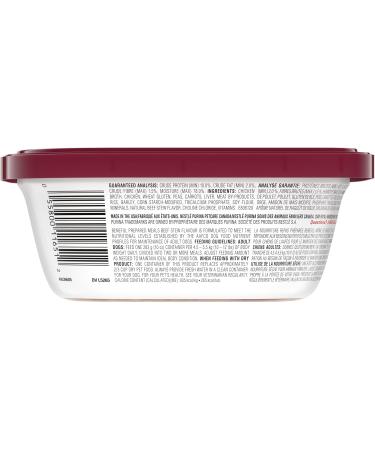 Beneful Prepared Meals Wet Dog Food Beef Stew - 283 g Tub (8 Pack) - Buy Online on GoSupps.com
