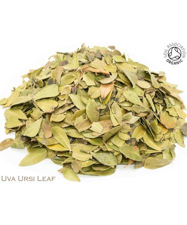 Organic Uva Ursi Leaf Pure Herbal Infusion (25 Unbleached Tea Bags - 50g) - Buy Online on GoSupps.com