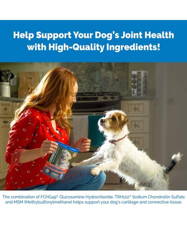 Cosequin Maximum Strength Joint Supplement for Dogs | Glucosamine & Chondroitin Plus MSM - Buy Online on GoSupps.com