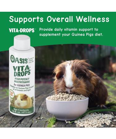 OASIS 80069 Guinea Pig Vita-Drop Vitamins 16oz Liquid Multivitamin with Vitamin C - Buy Online on GoSupps.com