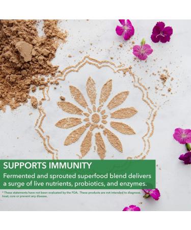 PlantFusion Complete Organic Vegan Protein Powder - 1 LB Vanilla Chai - Gluten Free & USDA Organic - Buy Online on GoSupps.com