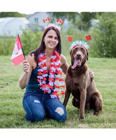 OBANGONG Canada Day Headbands - 4 Pcs Maple Leaf Flag Headband Set for Kids & Adults | Canadian Themed Party & Soccer Events Accessories - Buy Online on GoSupps.com