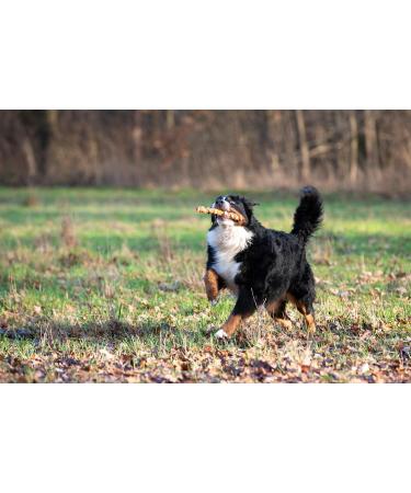 Buy Pets Unlimited Tricolor Chew Sticks with Chicken - Large | Premium Dog Treats for Healthy Chewing - International Shipping Available - Buy Online on GoSupps.com