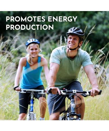 Live 5AM Magnesium Bisglycinate 365 vcaps | 200 mg Pure Elemental Magnesium From 1000 mg Magnesium Bis-glycinate Blend Full Year Supply of Magnesium Glycinate 200 mg Supplement Easy-to-Swallow Vegan Made in Canada 365 count (Pack of 1) - Buy Online on GoSupps.com