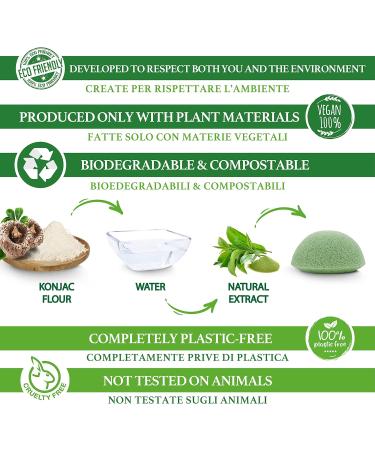 SINUTAN Konjac Face Sponge 100% Natural Green Tea (Set of 4) Konjac Round Sponge for Exfoliation and Deep Pore Cleansing Loofah Mix Color Puff Style - Buy Online on GoSupps.com