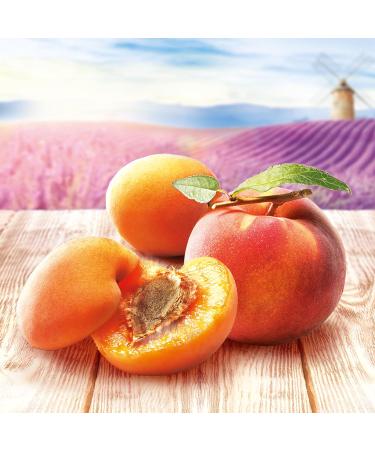 Moulin de Valdonne Apricot Peach Syrup for Refreshing Drinks Cocktails with or without Alcohol No Artificial Flavouring No Colouring 70 cl Bottle - Buy Online on GoSupps.com