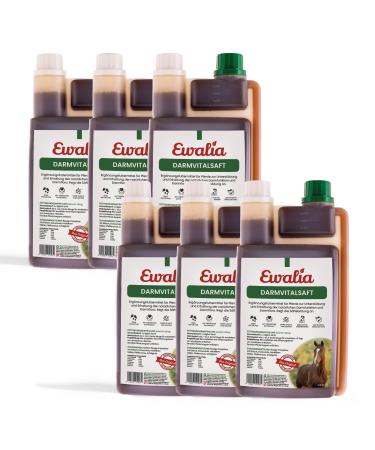 Ewalia Vital Intestinal Juice – Premium Quality Feed Supplement for Horses to Support Intestinal Health – Natural Stabilization of Intestinal Flora with the Power of Herbs –