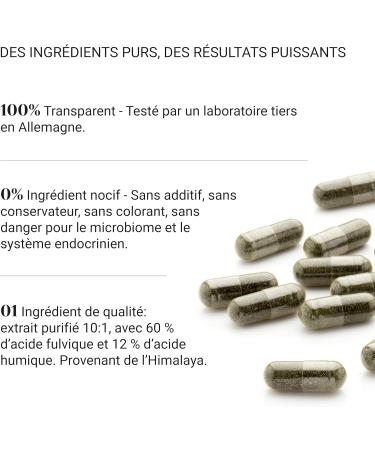 Nullure Shilajit Supplement | Pure Himalayan Shilajit Capsules | Anti-inflammatory Neuroprotective Effects Muscle Recovery Energy Boost| Natural & Original | 120 caps (2 months) - Buy Online on GoSupps.com