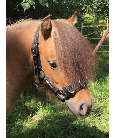 Buy JF-Reitsport Cavesson Pro 2021 | 4-Way Adjustable Soft & Shock-Absorbing for Minishetty | International Shipping Available - Buy Online on GoSupps.com