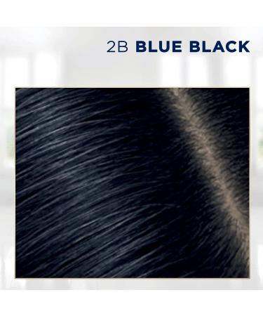 Clairol Root Touch-Up 2B Blue Black Permanent Hair Dye 1.1 Fl Oz - Pack of 1 - Buy Online on GoSupps.com