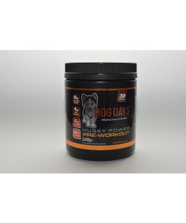 Husky Power Pre-Workout (Tangerine) Feeds 5 Rescue Dogs!