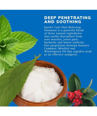 Earth's Care Triple Action Pain Relieving Ointment - Paraben-Free Fragrance-Free Allergy-Tested - 2.5 OZ (2 Jars) | International Shipping Available - Buy Online on GoSupps.com
