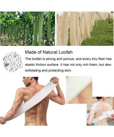 Buy Luffa Sponge Backrubber for Bath & Shower - 100% Natural Luffa Body Pad Set | Dighealth - Buy Online on GoSupps.com