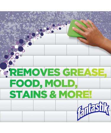 Fantastik All Purpose Cleaner and Disinfectant Spray with Bleach Bathroom and Kitchen Cleaner to Eliminate Tough Stains 650mL 650 ml (Pack of 1) - Buy Online on GoSupps.com