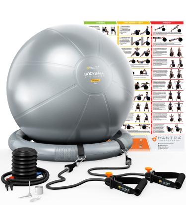 Exercise Ball Chair, Yoga Ball Chair With Resistance Bands, Pregnancy Ball with Stability Base & Poster. Balance Ball Chair Pilates Ball for Fitness, Home Gym, Physio, Birthing, Office & Working Out Gray 65cm (Height 5'4" - 5'10")