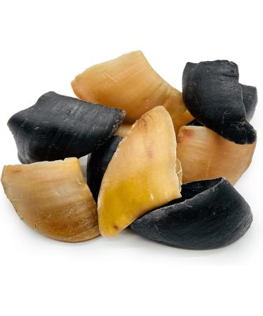 All Natural Cow Hooves for Dogs: British Long-Lasting Chew Treats for Improved Dental Health Anxiety Relief and Effective Training - Ideal Dog Treats for Healthy Gums and Teeth 10 count (Pack of 1) - Buy Online on GoSupps.com