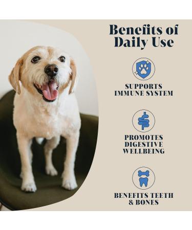Goats Milk Powder for Dogs & Cats | Create Delicious Goats Milk | Each Pack Makes 6 Pints - Buy Online on GoSupps.com