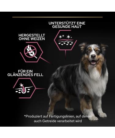 PRO PLAN Medium Adult Sensitive Skin Rich in Salmon - 14kg - Dry Food for Medium Adult Dogs with Sensitive Skin - Buy Online on GoSupps.com