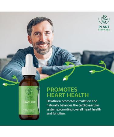 Plant Stem Cells Gemmotherapy Embryonic Hawthorn Buds | Supports Cardiovascular & Circulatory Health Blood Pressure & Healthy Cholesterol Levels for Men & Women* - Buy Online on GoSupps.com