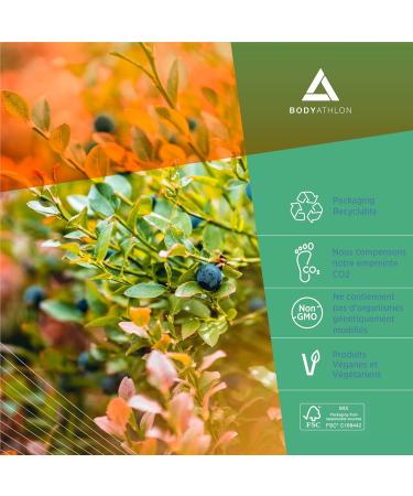 Bodyathlon - ZMA 120 capsules- Zinc Magnesium Vitamin B6 Sports supplement- Muscle recovery- Prevents fatigue- Immune system - Buy Online on GoSupps.com