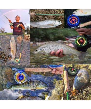 Maximcatch Premier Fly Rod & Avid Roll Combo - Complete 9' Fly Fishing Outfit with 6 WT 5/6 Fly Reel & Equipment - International Shipping Available - Buy Online on GoSupps.com