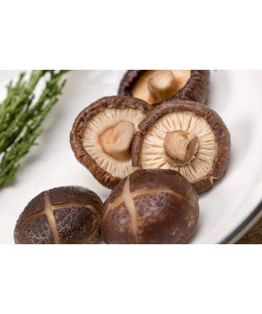 Dried Shiitake Mushrooms 1.5oz - Vigorous Mountains Shitake Mushroom - Buy Online on GoSupps.com