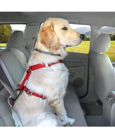Kurgo Tru-Fit Car Safety Harness for Dogs - Padded Chest Panel D-Ring & Seat Belt - Size XS Gray - Safe Travel for Pets - Buy Online on GoSupps.com