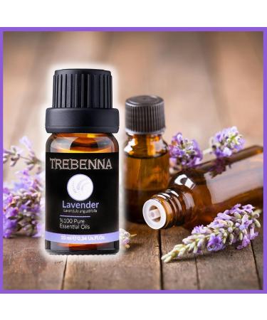 Pure Lavender Oil - Therapeutic Grade Essential Oil for Diffuser Skin Care Hair Growth Aromatherapy & Relaxation - 10mL - Buy Online on GoSupps.com