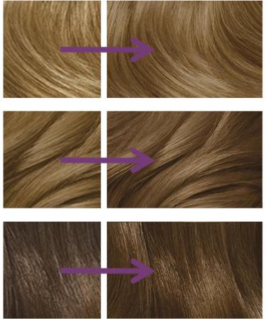 Clairol Nice'n Easy No Ammonia Hair Dye 91 Dark Blonde 3 Count Pack - Ammonia-Free Hair Color - Buy Online on GoSupps.com