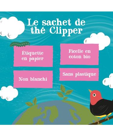 CLIPPER - Organic Infusion - Spices and Love - Cinnamon Ginger & Orange - 20 Organic Infusion Sachets - 1 pack - Buy Online on GoSupps.com