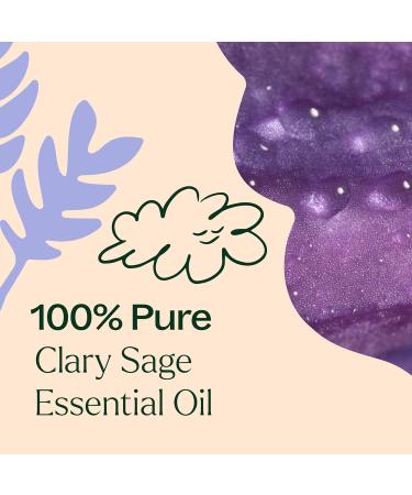 Plant Therapy Clary Sage Essential Oil 100% Pure Undiluted Natural Aromatherapy Great for DIY Skin Care 100 mL (3.33 oz) - Buy Online on GoSupps.com