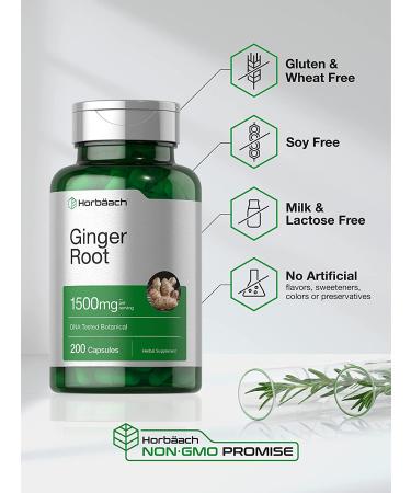 Ginger Root Capsules 1500mg | 200 Pills | DNA Tested, Non-GMO & Gluten Free Extract by Horbaach - Buy Online on GoSupps.com