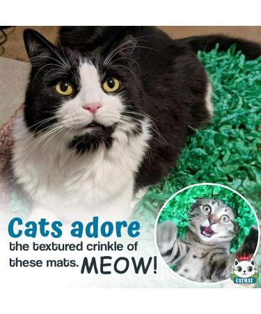 CATMAT - Cat Paper Grass Tissue Paper Cat Mat Cat Play Mat Cat Play Grass Paper Cat Grass Fake Cat Toy Grass Cat Mat Tissue Paper Grass for Cats Cat Grass for Indoor Cats - Green (Pack of 2) - Buy Online on GoSupps.com