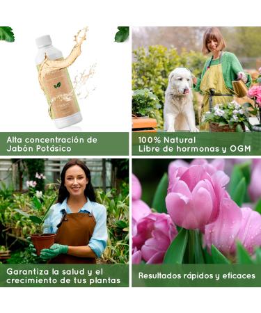 1L Concentrated Potassium Soap - 100% Natural and Ecological - Improves and Activates the Natural Defenses of Indoor and Outdoor Plants - Acts Quickly and Effectively - Buy Online on GoSupps.com